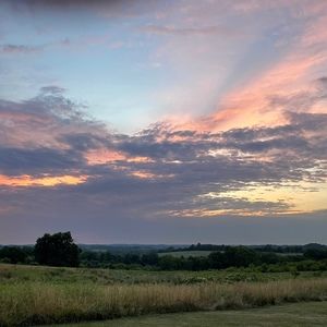 Meet your Posher, Esther